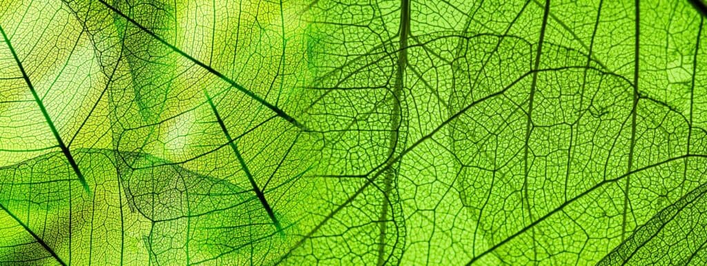 Adobestock 142001247