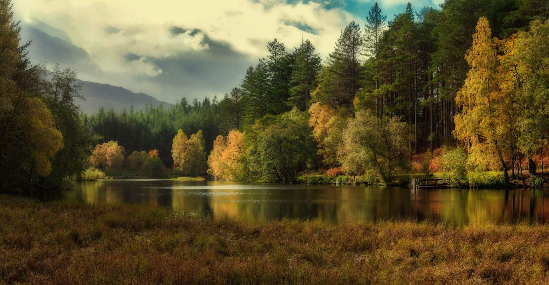 Adobestock 410921776